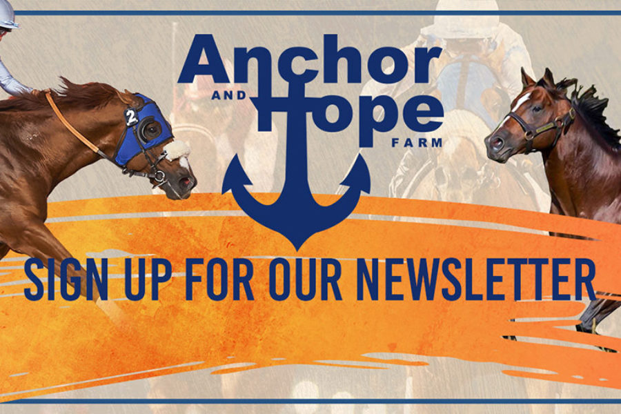 Anchor and Hope Farm